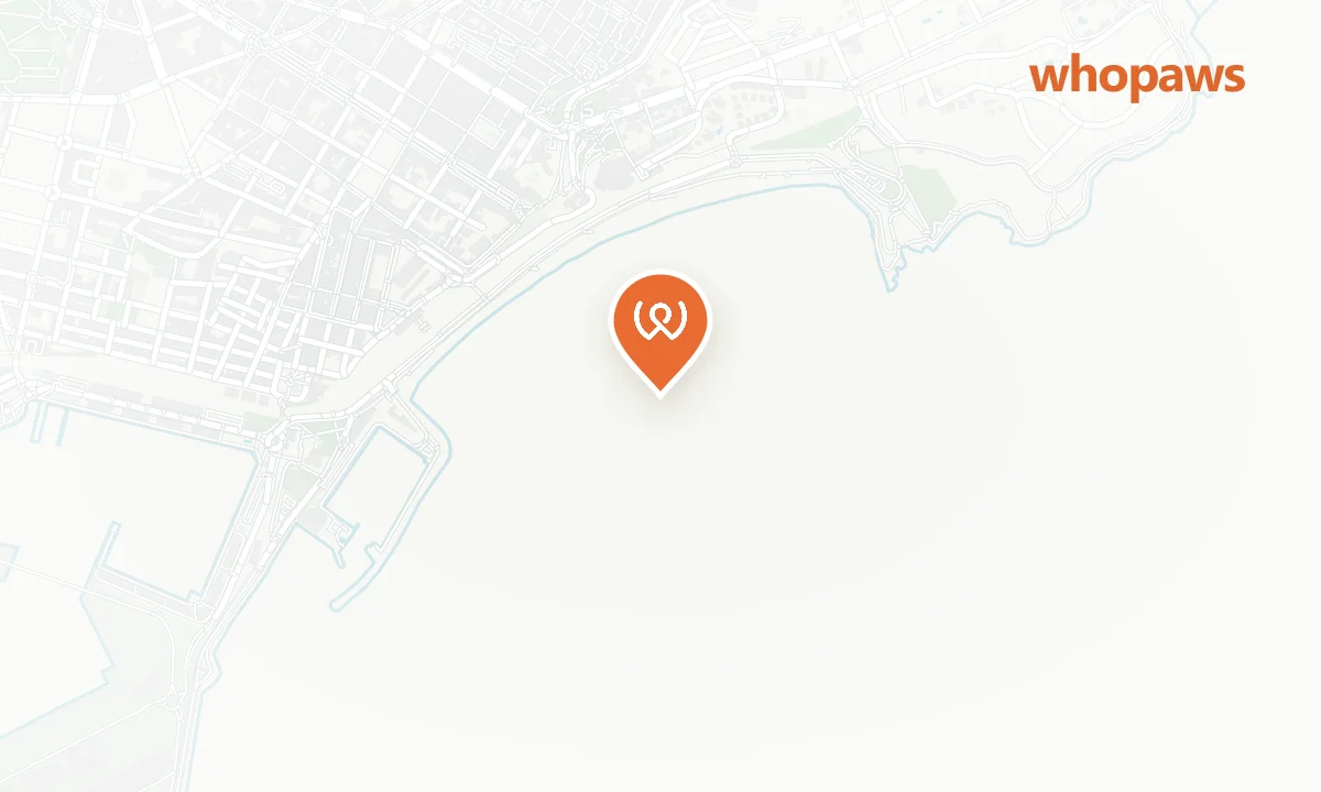 Mapa de la ubicación de Playa del Miracle (zona canina)