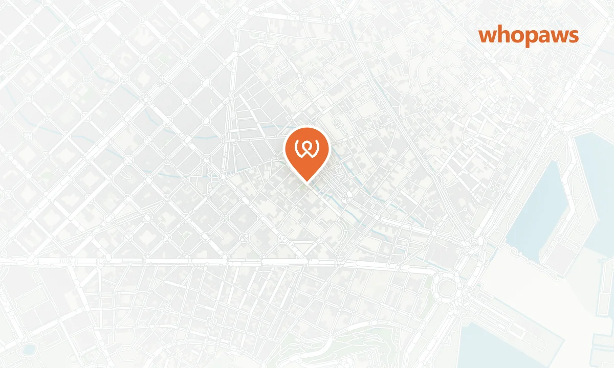 Mapa de la ubicación de Morning Glory Coffee & Brunch