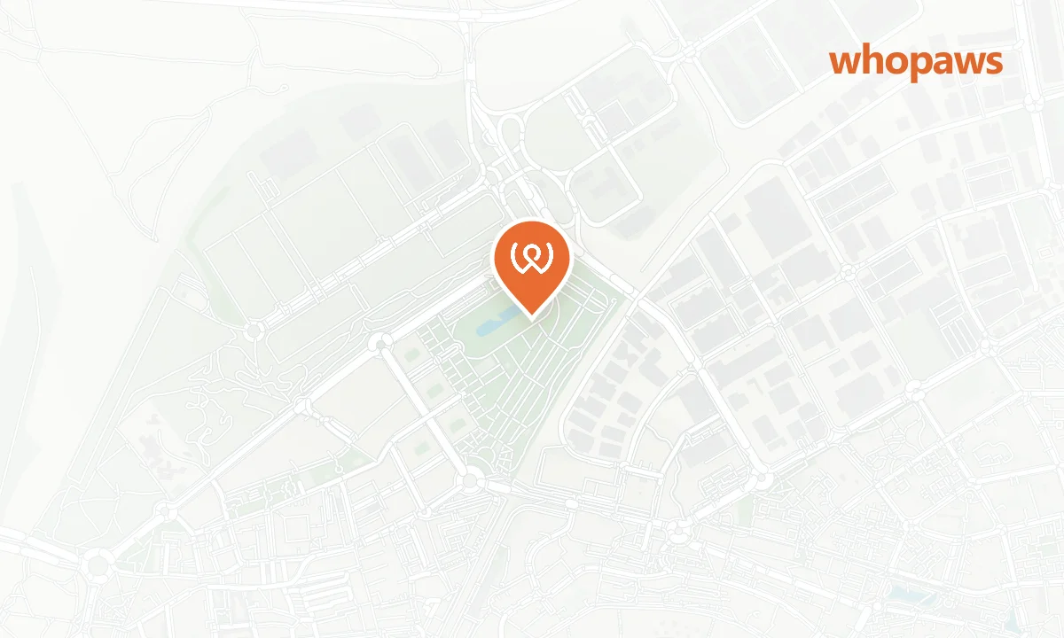 Mapa de la ubicación de Repsol Coslada Ctra. San Jerónimo (Autolavado Canino)