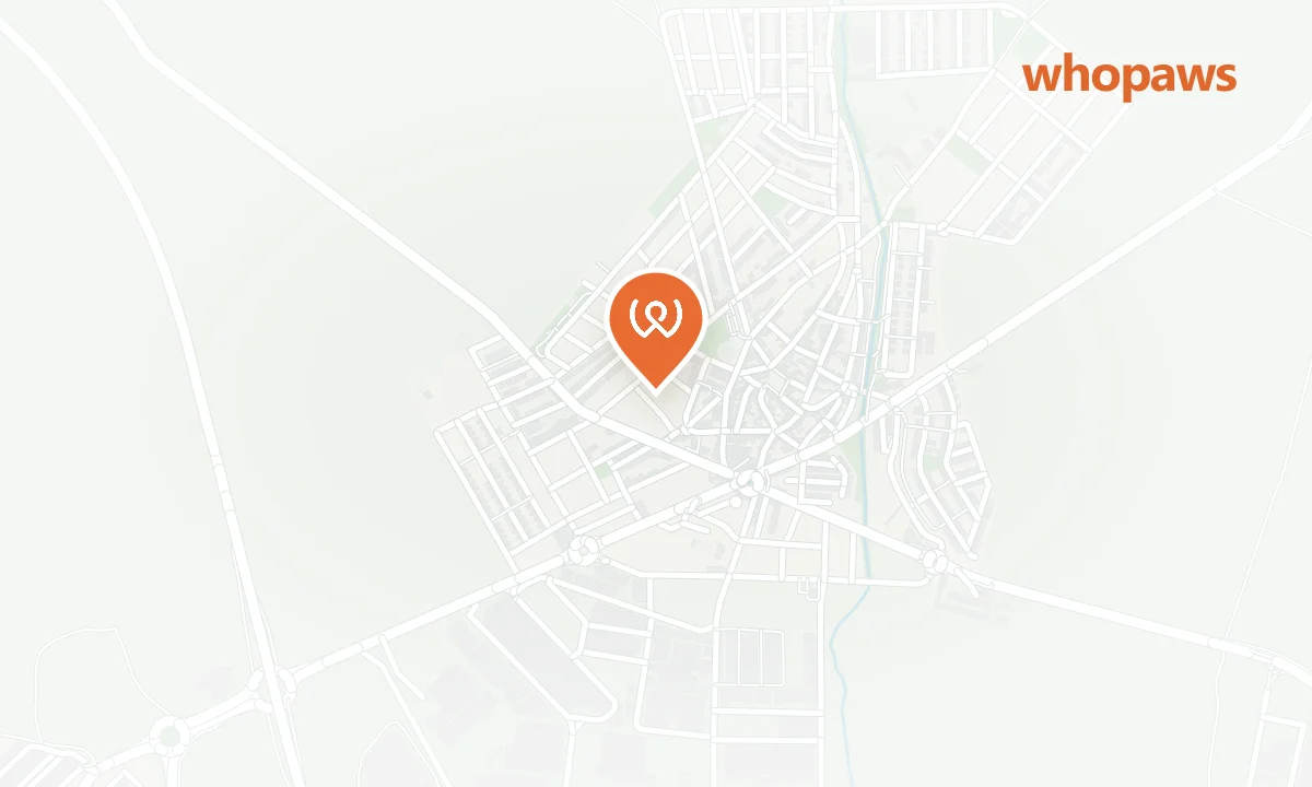 Mapa de la ubicación de Repsol Daganzo Ctra. Ajalvir