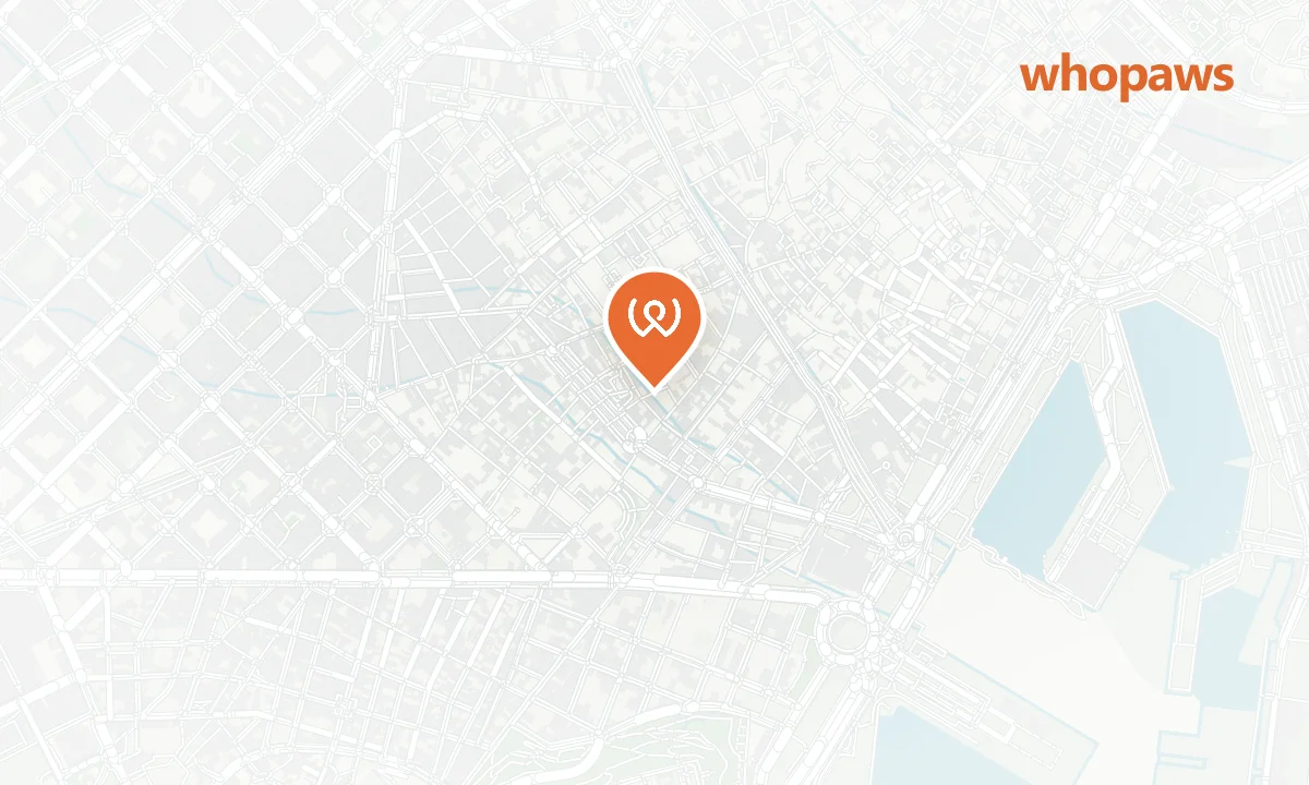 Mapa de la ubicación de Candela Raval