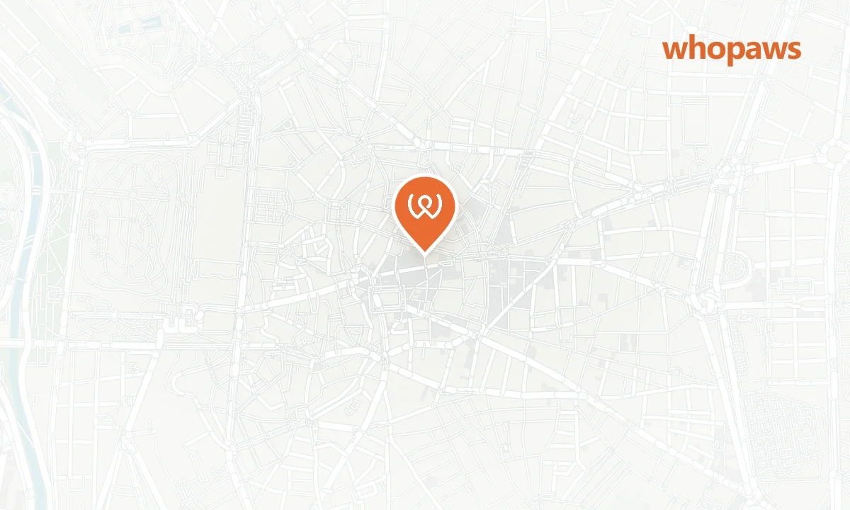 Mapa de la ubicación de Petit Palace Puerta del Sol
