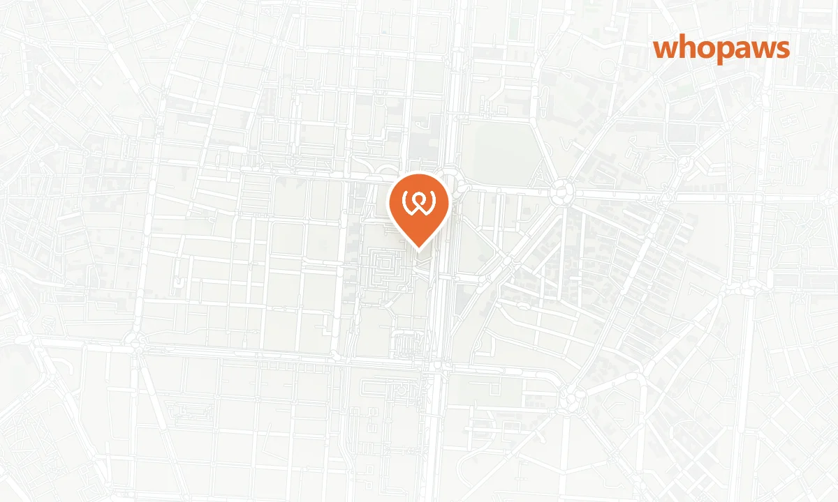 Mapa de la ubicación de Honest Greens Castellana