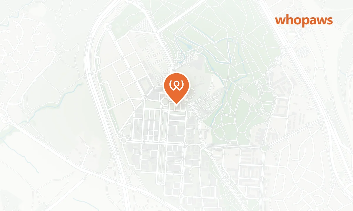 Mapa de la ubicación de Repsol Európolis Las Rozas (Autolavado Canino)