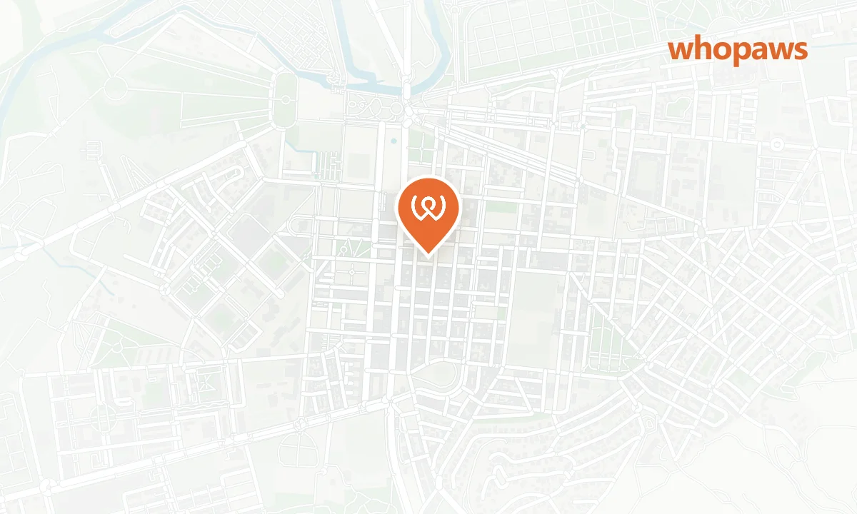 Mapa de la ubicación de Hostal Castilla Aranjuez