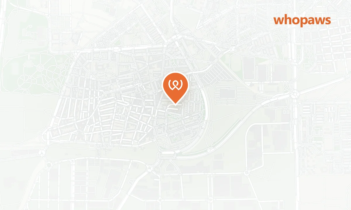 Mapa de la ubicación de BP Villaverde Ctra. Toledo