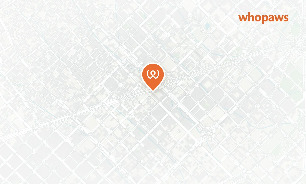 Mapa de la ubicación de Gabby's Eixample