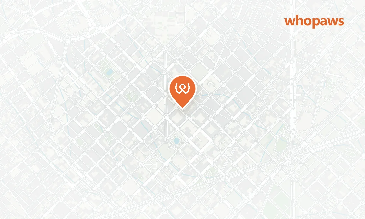 Mapa de la ubicación de Camelia Art Café