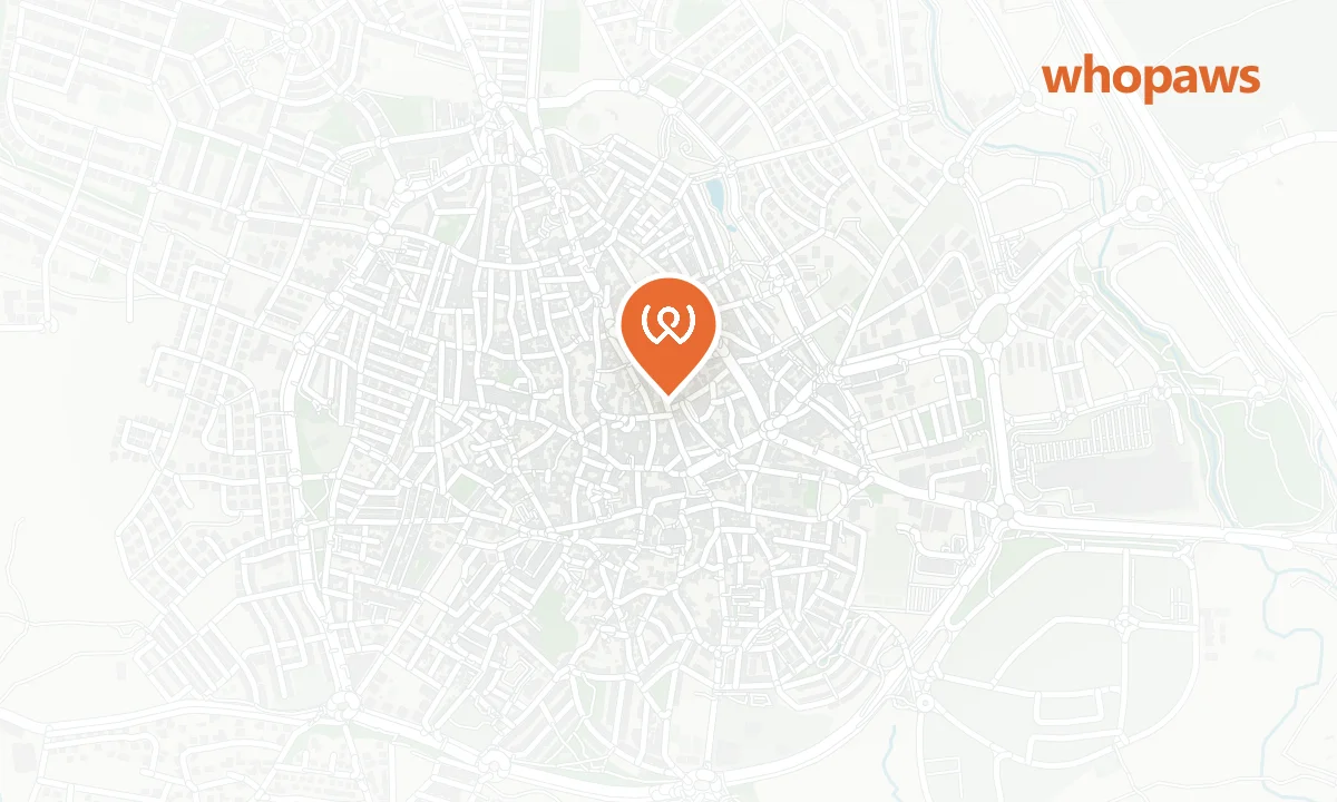 Mapa de la ubicación de Hostal San Roque Colmenar