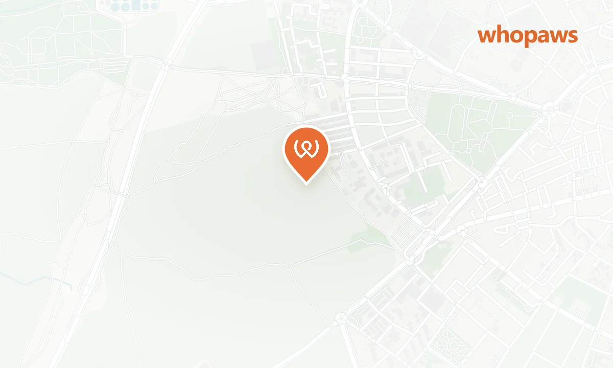 Mapa de la ubicación de Área Canina Parque de El Soto