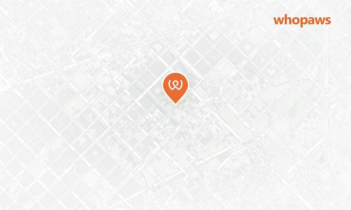 Mapa de la ubicación de Brunch & Cake Diputació