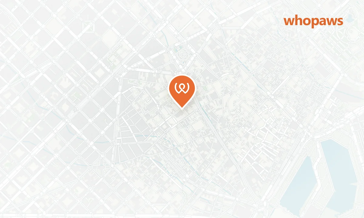 Mapa de la ubicación de Chivuo's Raval
