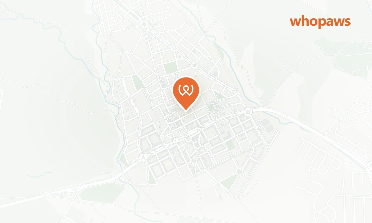 Mapa de la ubicación de Hostal Pardillo