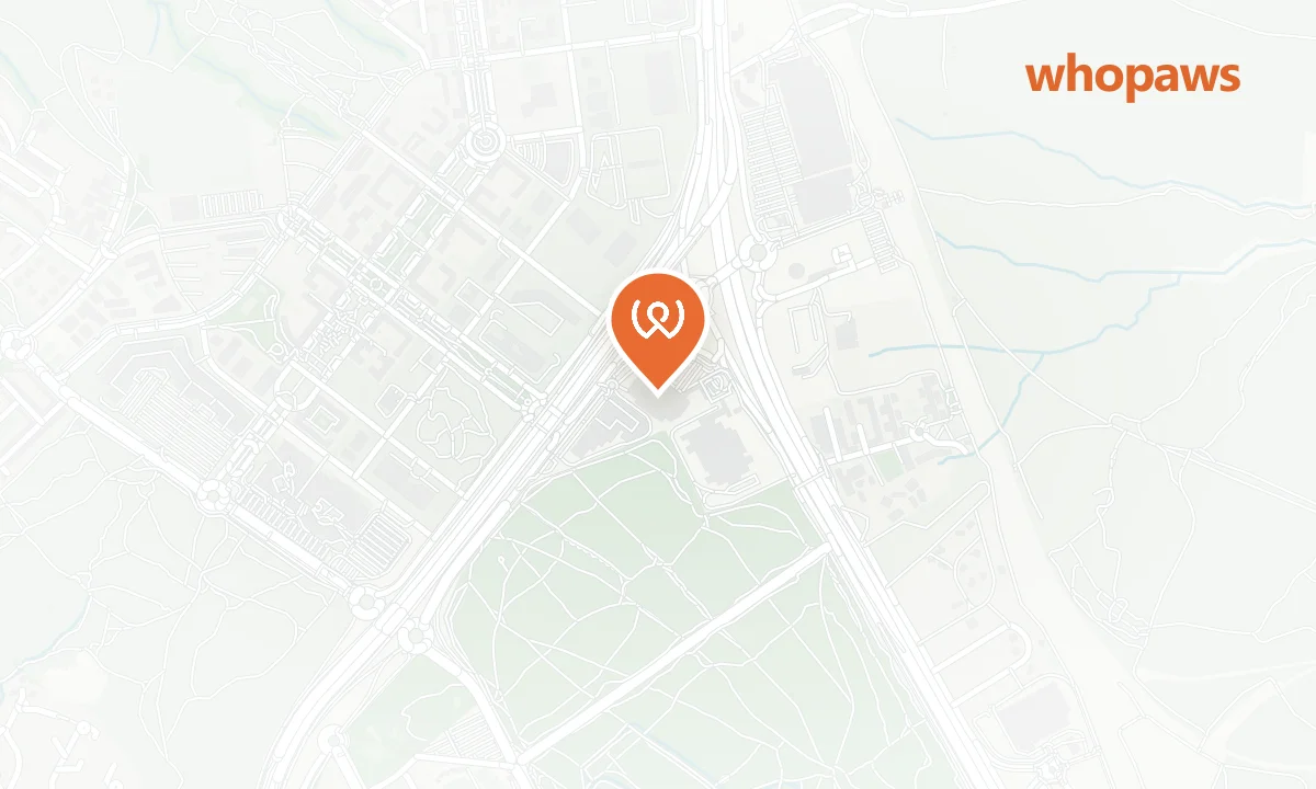 Mapa de la ubicación de Leroy Merlin Las Rozas