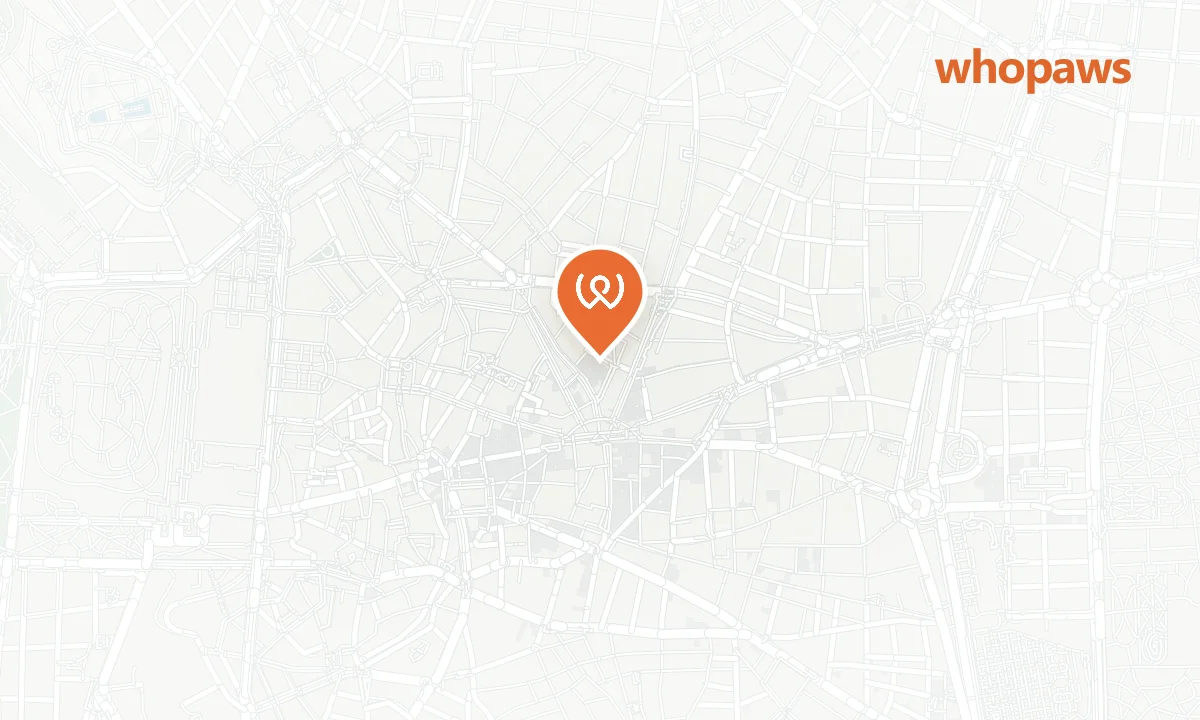 Mapa de la ubicación de Petit Palace Plaza del Carmen