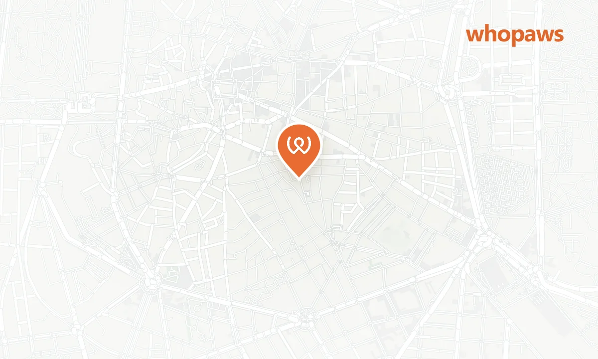 Mapa de la ubicación de Mad Mad Vegan - Lavapiés