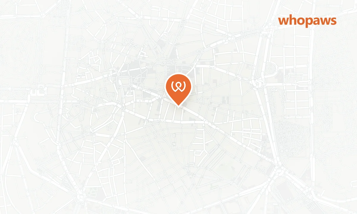 Mapa de la ubicación de Catalonia Plaza Mayor