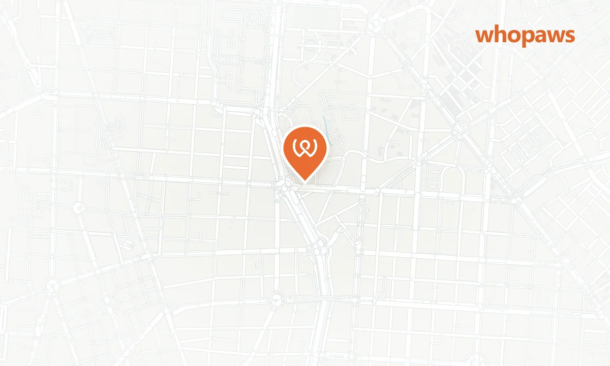 Mapa de la ubicación de Wanda Café Optimista