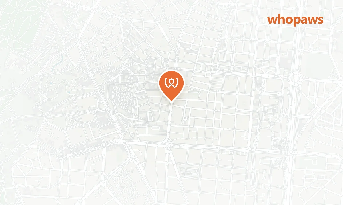 Mapa de la ubicación de Hostal Falfes