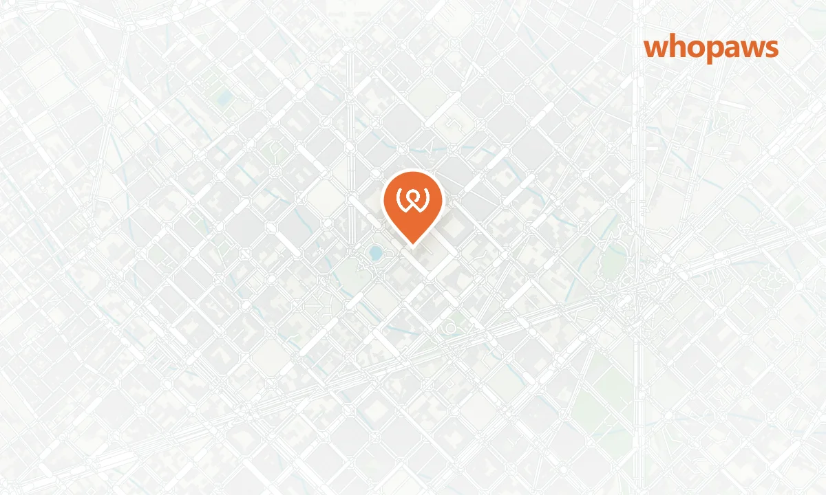 Mapa de la ubicación de Miss Simona