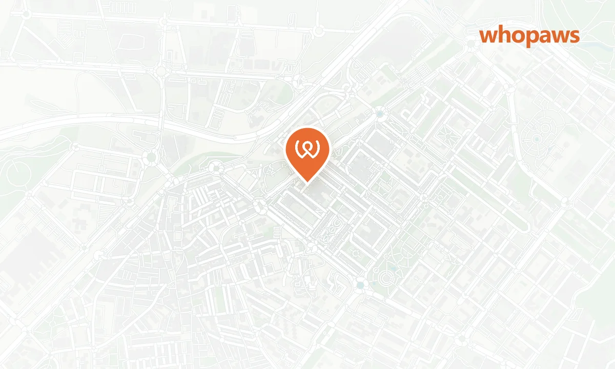 Mapa de la ubicación de BP Alcorcón Los Castillos