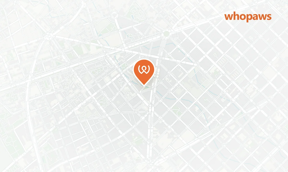 Mapa de la ubicación de Collonut Les Corts