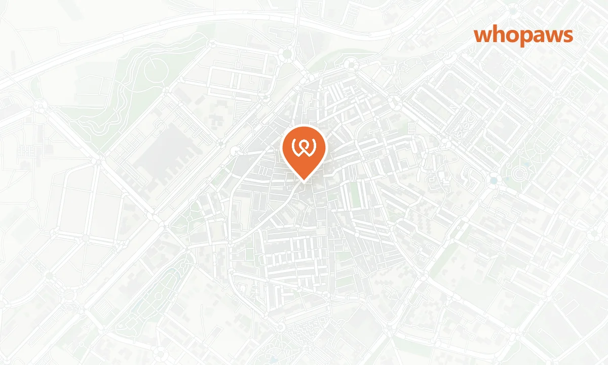 Mapa de la ubicación de Hostal Alcorcón