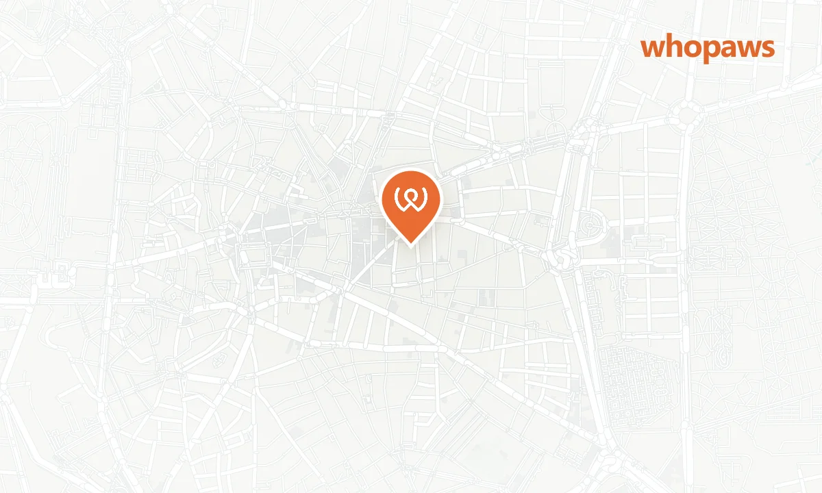 Mapa de la ubicación de Casual del Teatro Madrid