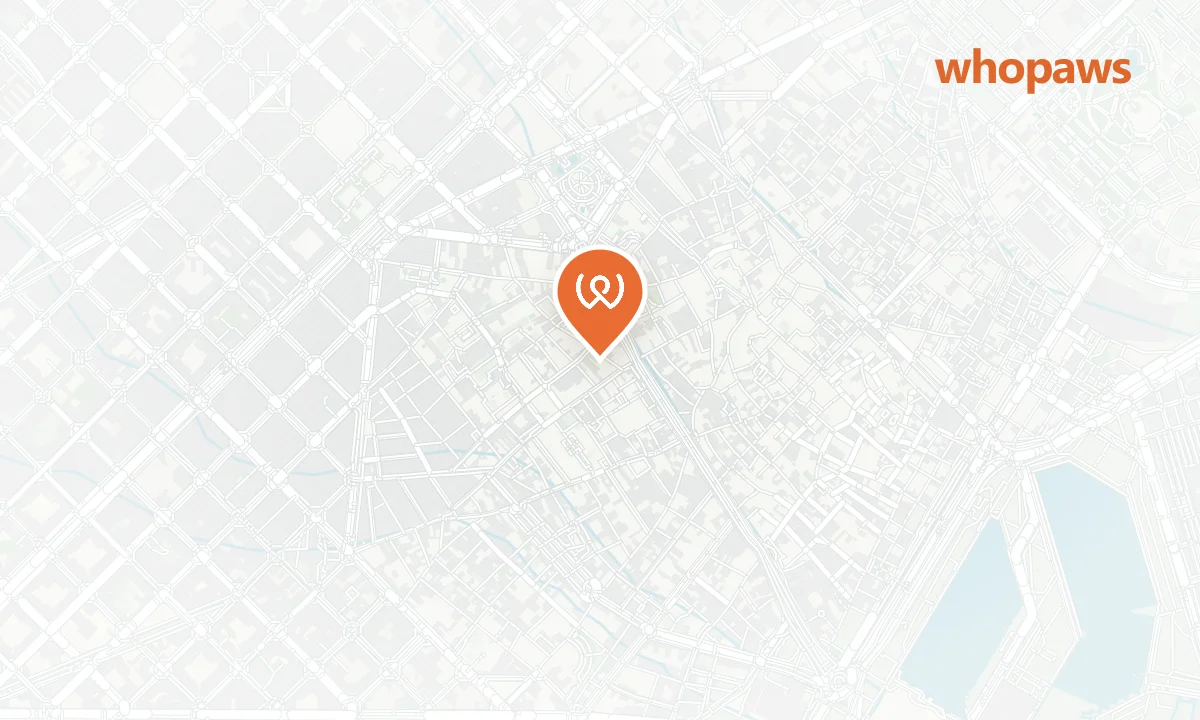 Mapa de la ubicación de Gats