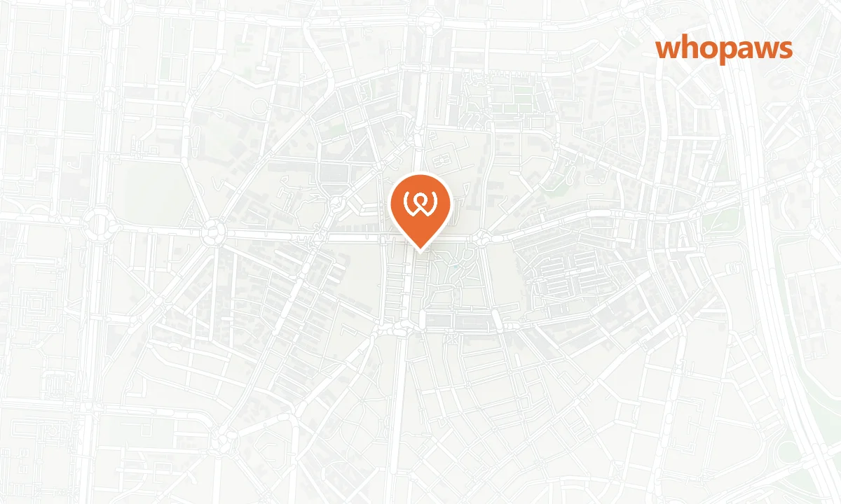 Mapa de la ubicación de Home Burger Bar - Príncipe de Vergara