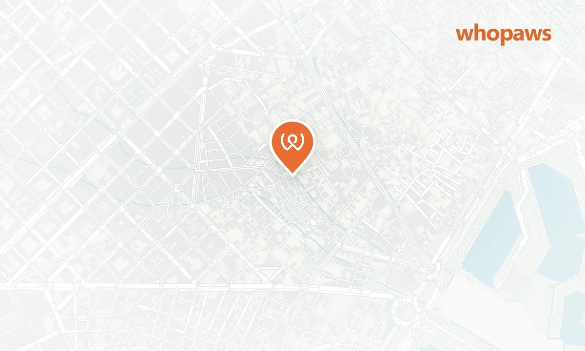 Mapa de la ubicación de Olgod Craft Beer Bar