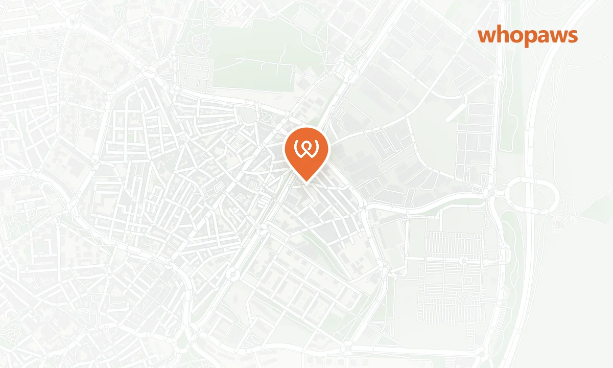 Mapa de la ubicación de BP San Sebastián de los Reyes (Pet Wash)