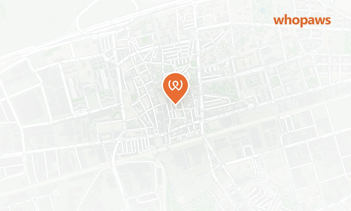 Mapa de la ubicación de Hostal Plaza Mayor Torrejón