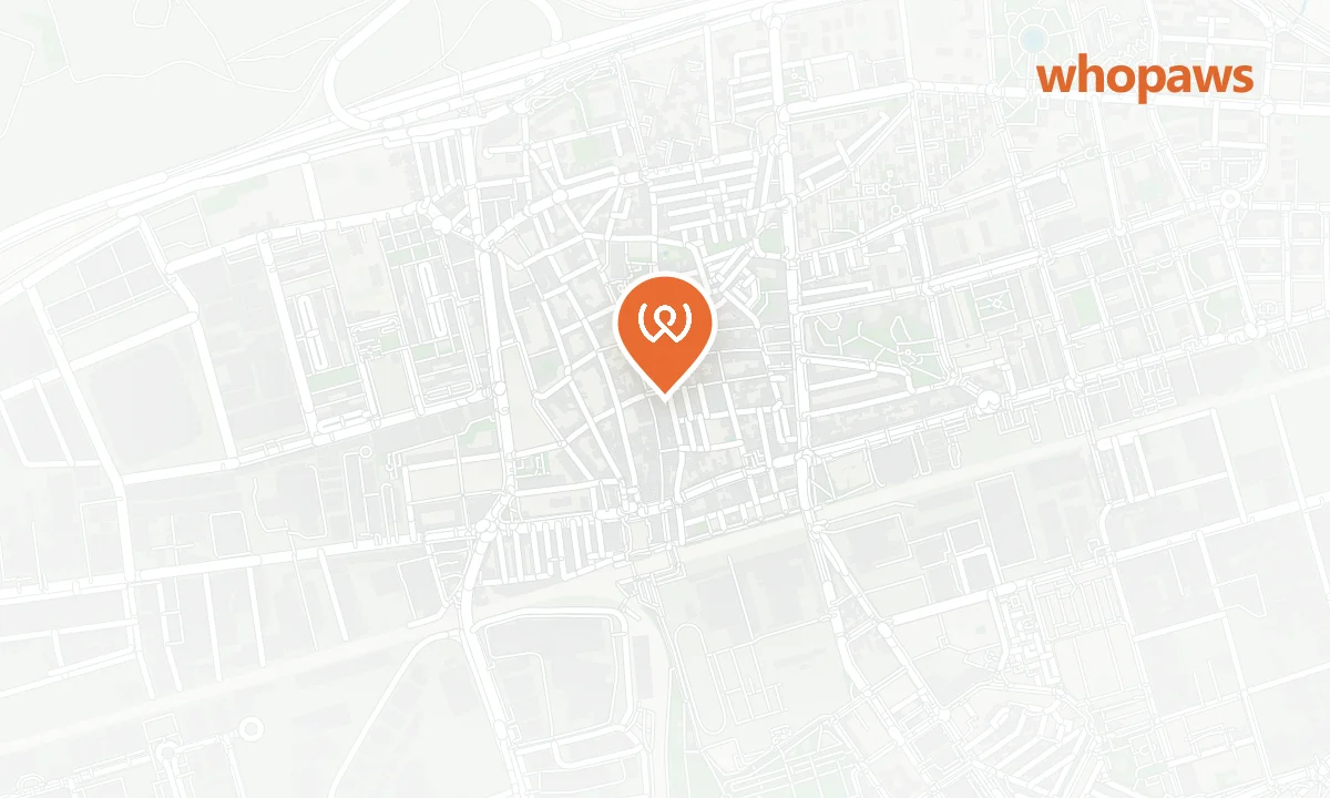 Mapa de la ubicación de Estación de Autobuses de Torrejón (Plaza de España)