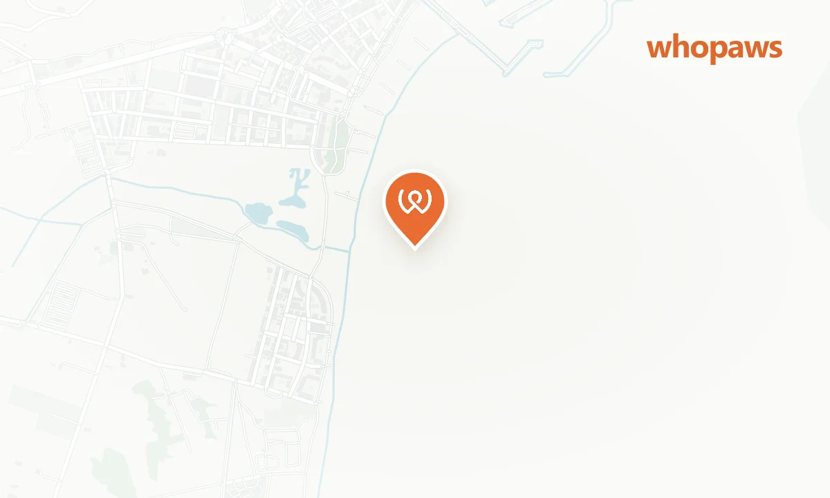 Mapa de la ubicación de Playa Els Griells (zona canina)