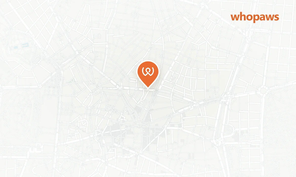 Mapa de la ubicación de Petit Palace Cliper Gran Vía