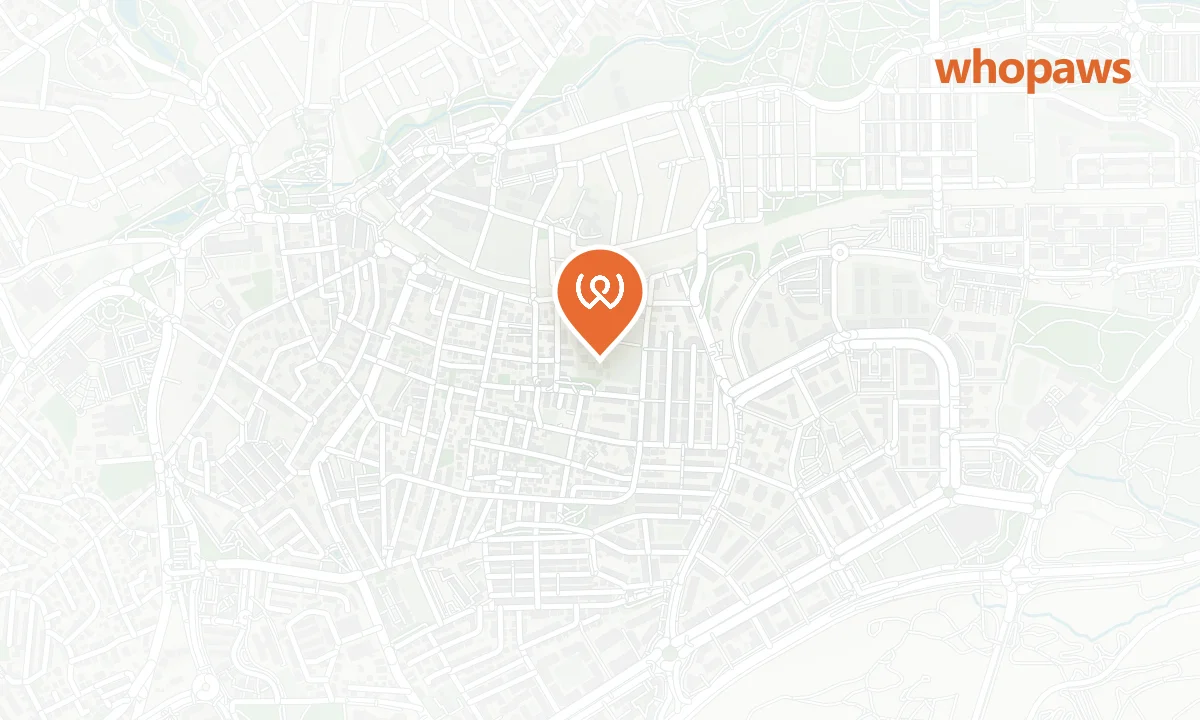 Mapa de la ubicación de Repsol Pozuelo M-40 (Lavado de Mascotas)