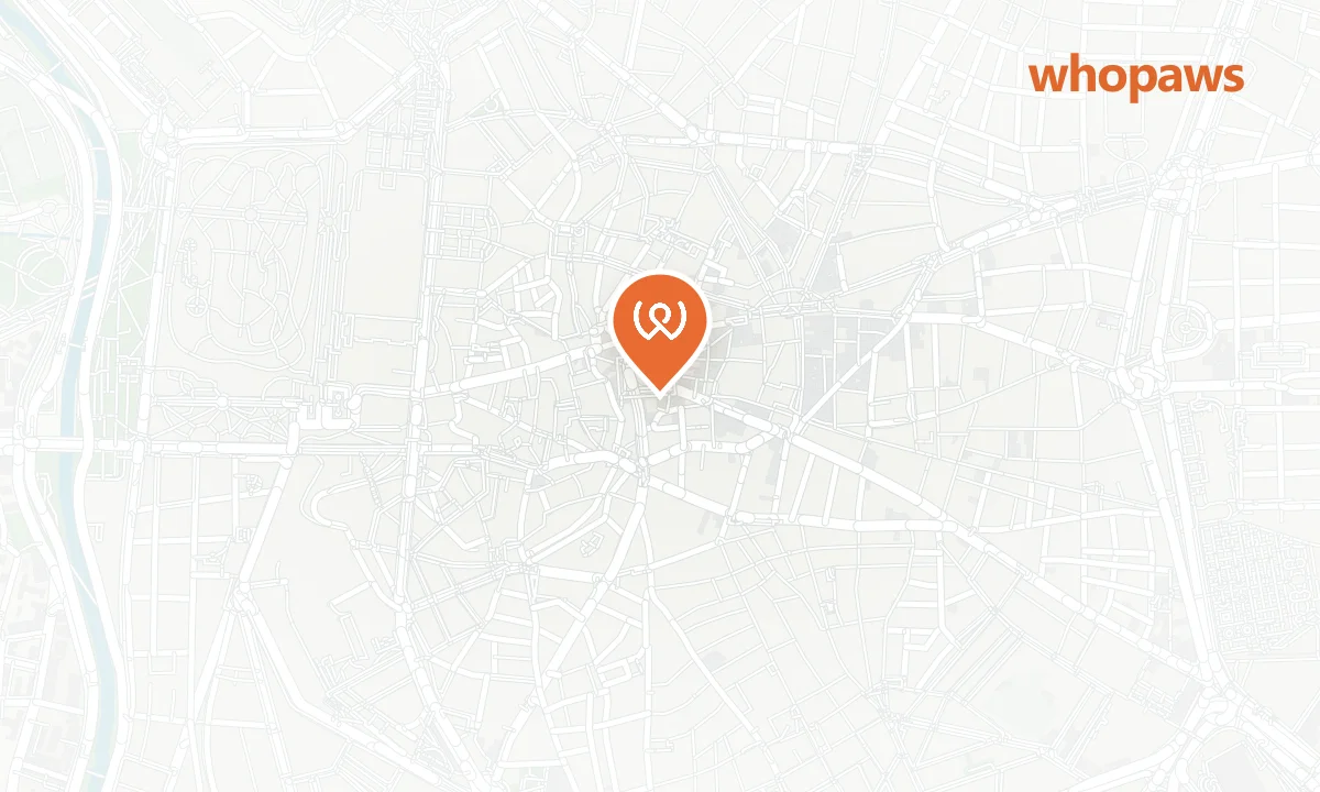 Mapa de la ubicación de Parking Plaza Mayor (Saba)