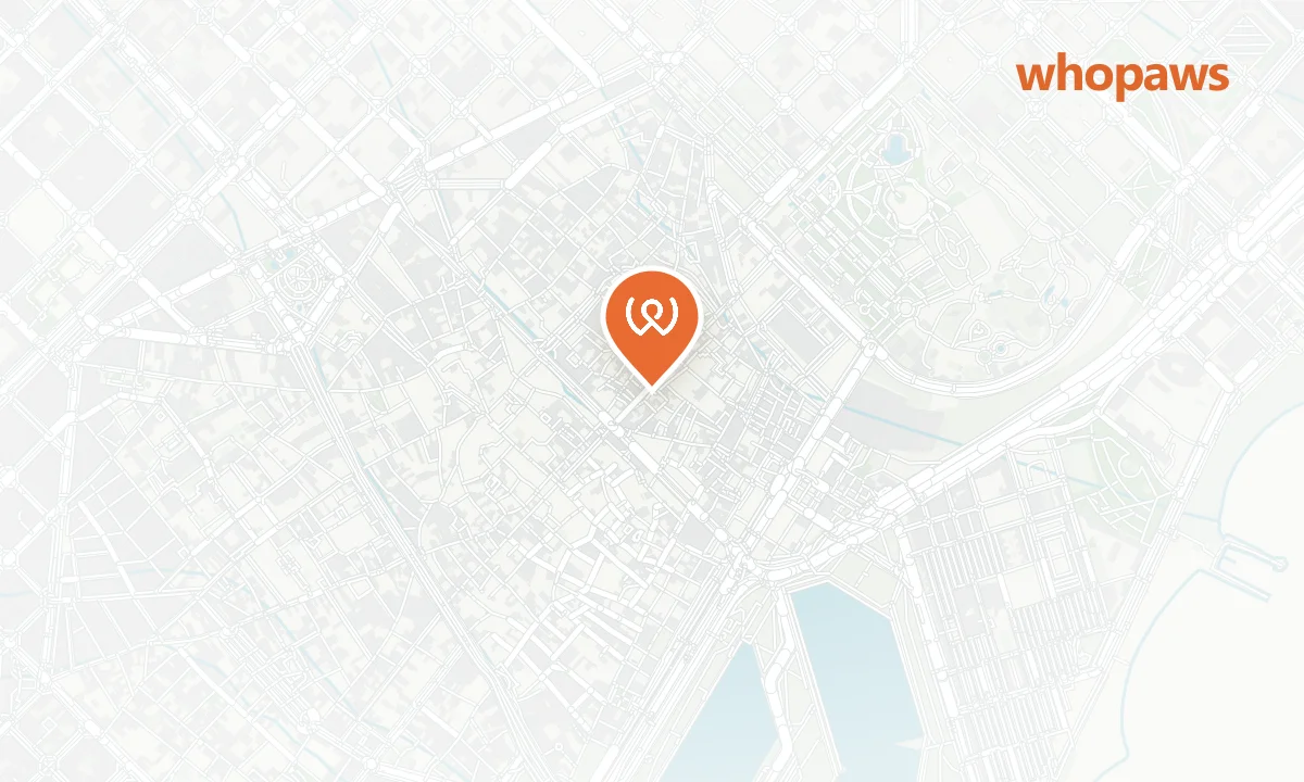 Mapa de la ubicación de Story
