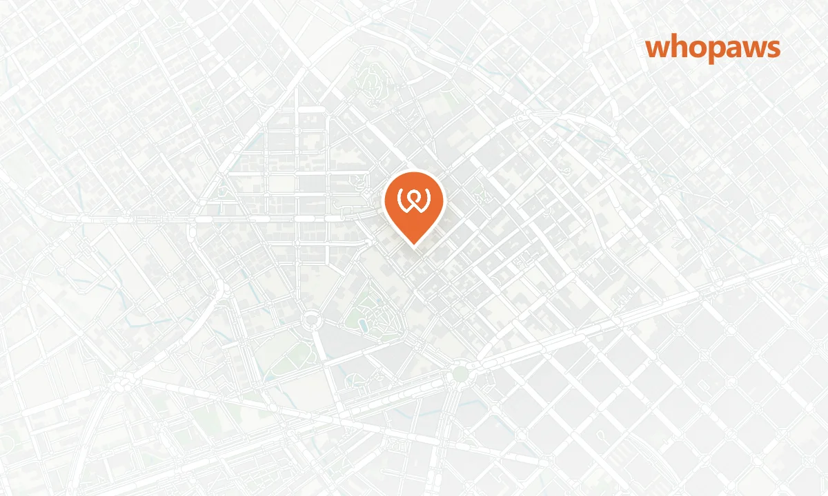Mapa de la ubicación de Wonder Coffee