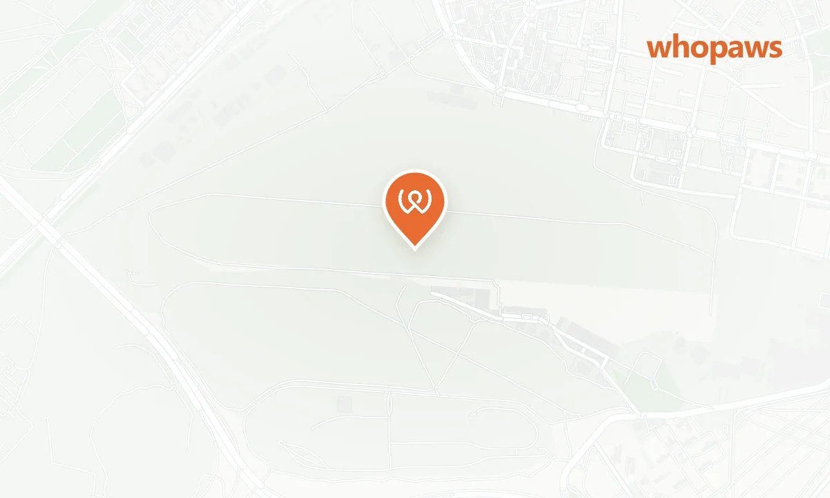 Mapa de la ubicación de Aeródromo de Cuatro Vientos (Terminal Civil)