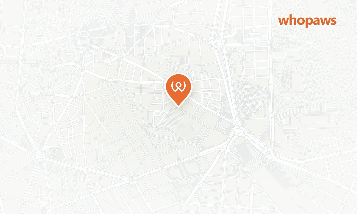 Mapa de la ubicación de Falafeleria - Lavapiés
