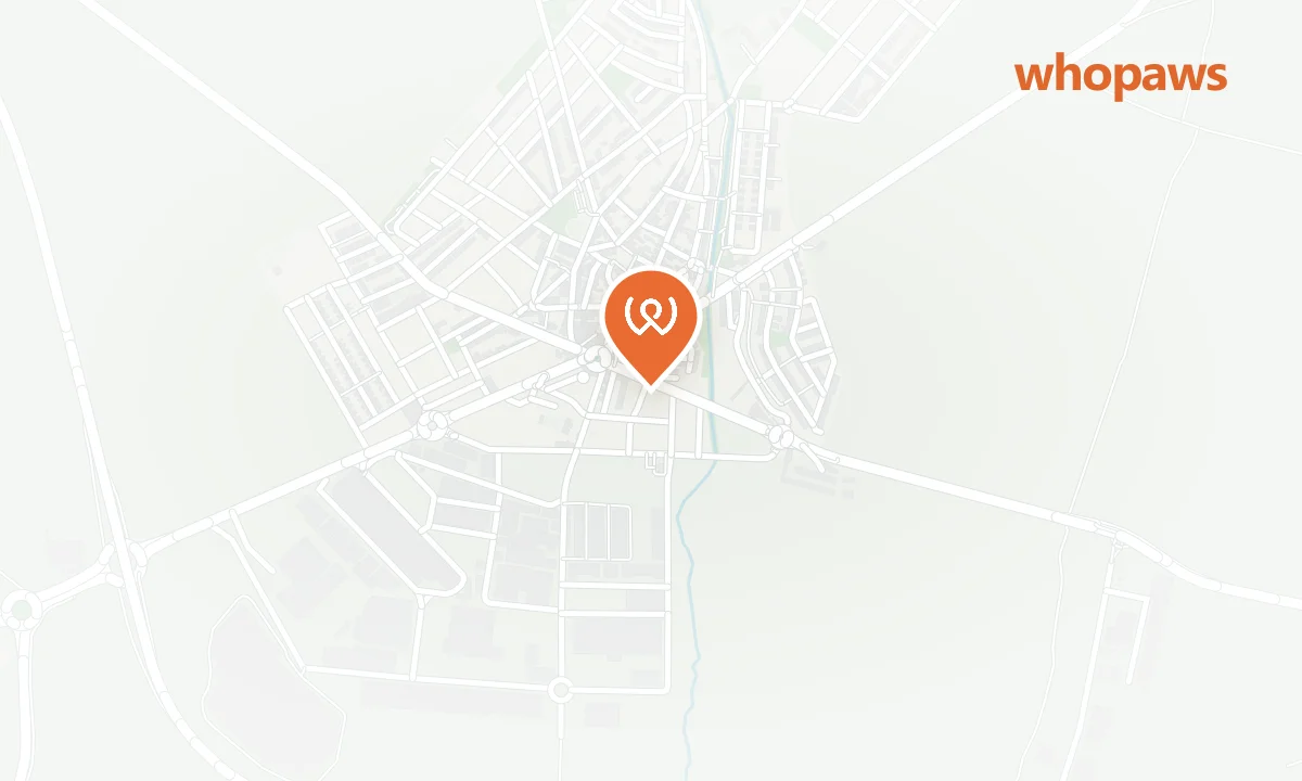 Mapa de la ubicación de Estación de Autobuses de Daganzo de Arriba