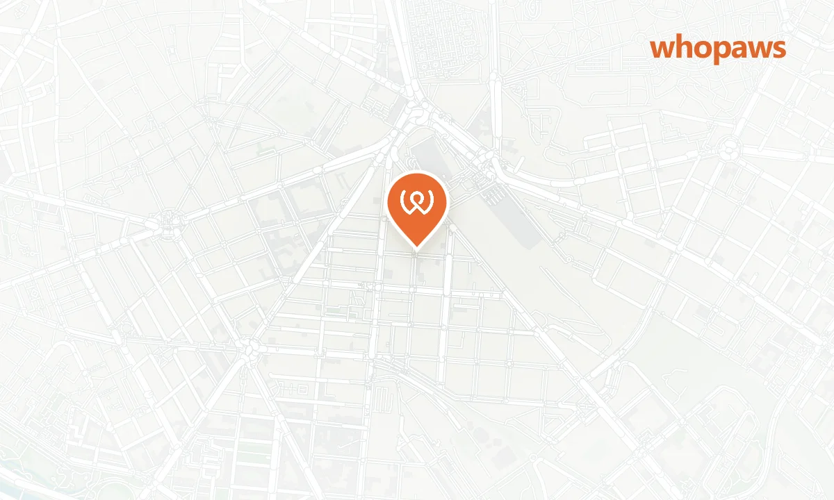 Mapa de la ubicación de Bar Noa
