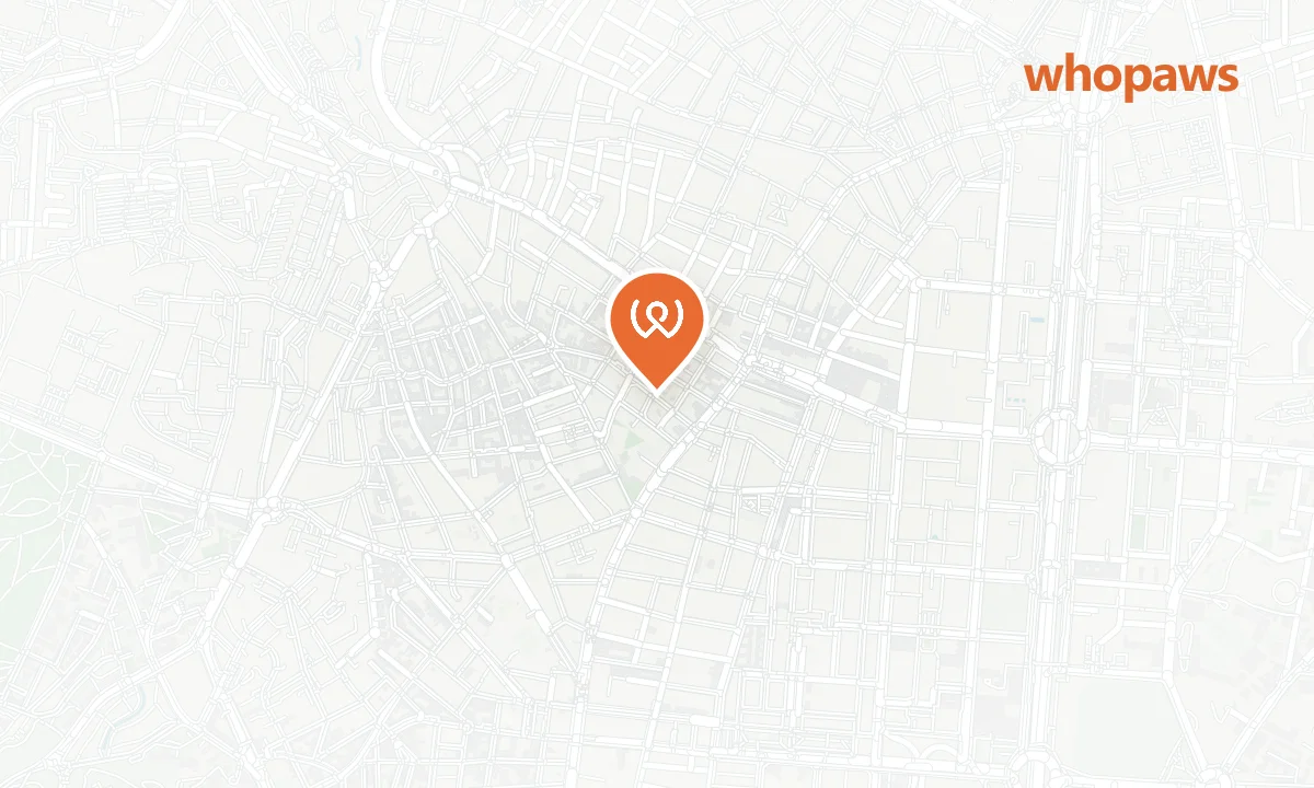 Mapa de la ubicación de Catire Bello Sushi (Tetuán)