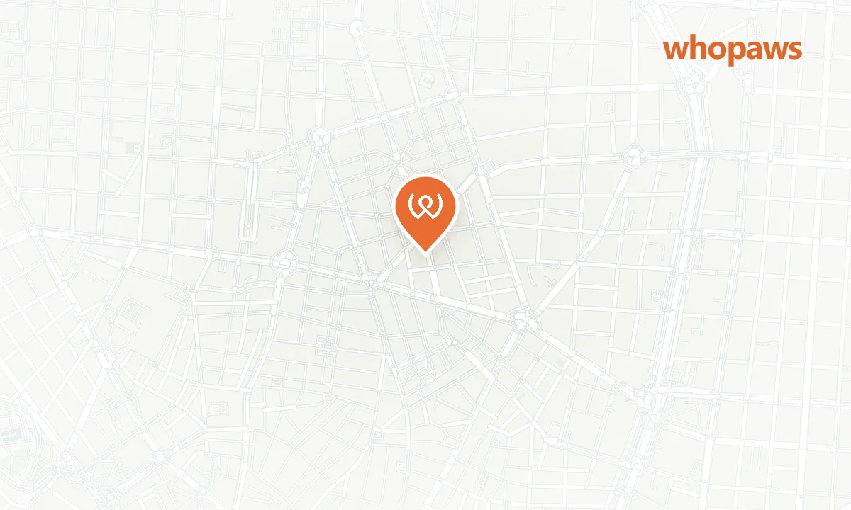 Mapa de la ubicación de La Colectiva Café