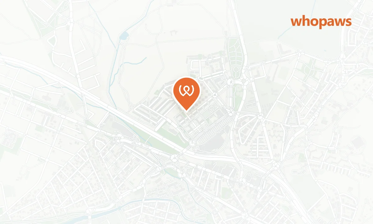 Mapa de la ubicación de Repsol Polígono P-29 (Autolavado Canino)