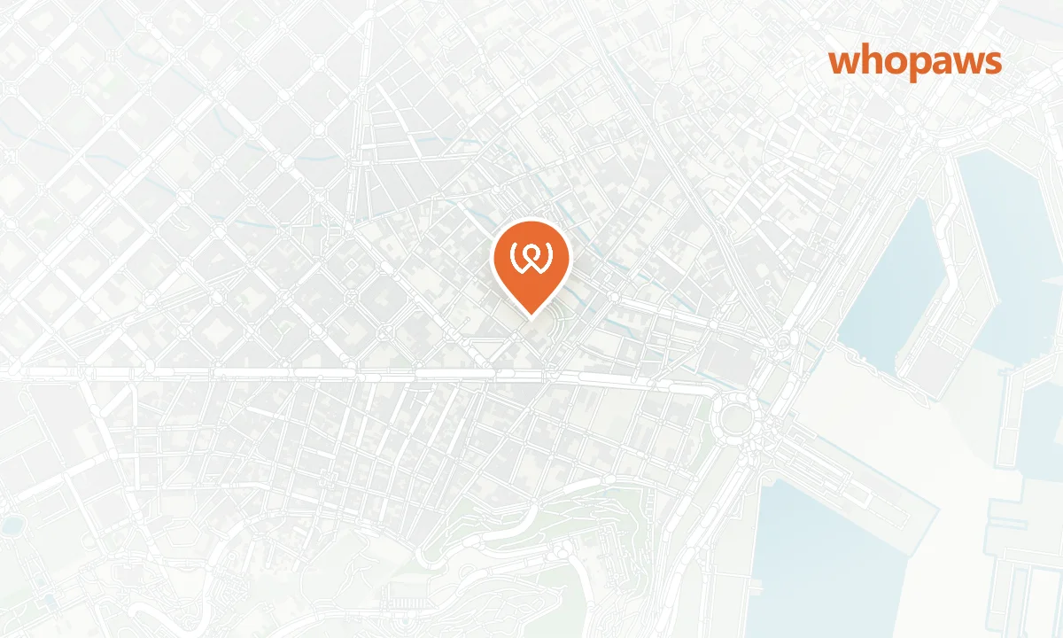 Mapa de la ubicación de El Pachuco