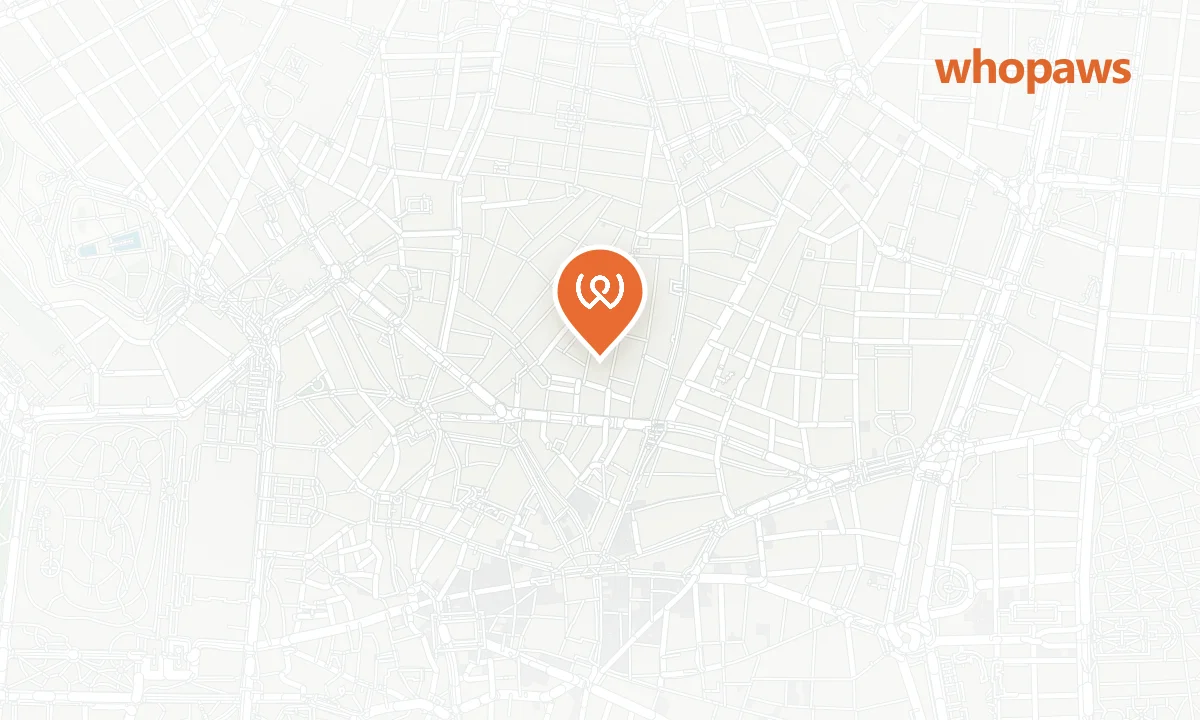 Mapa de la ubicación de Petit Palace Triball
