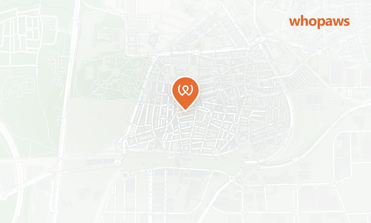 Mapa de la ubicación de Parque Plata y Castañar